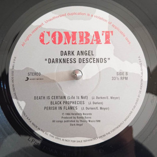 Виниловая пластинка Dark Angel – Darkness Descends (LP)