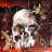 Виниловая пластинка Slayer – South Of Heaven (LP)