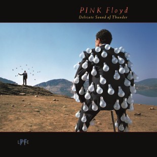 Pink Floyd - Delicate Sound Of Thunder (2LP)