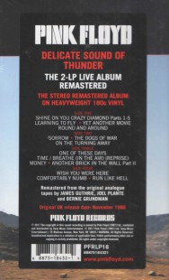 Pink Floyd - Delicate Sound Of Thunder (2LP)