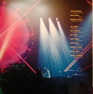 Pink Floyd - Delicate Sound Of Thunder (2LP)
