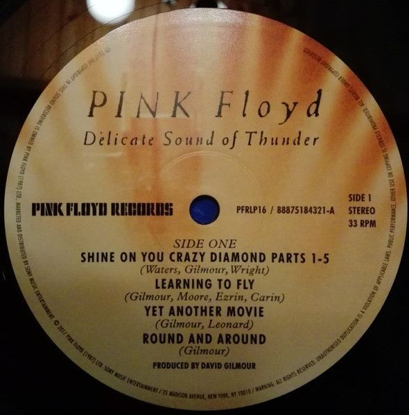 Pink Floyd - Delicate Sound Of Thunder (2LP)