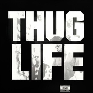 Thug Life - Volume (25th Anniversary)  (LP)