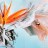 Schiller - Epic (color )(2LP)