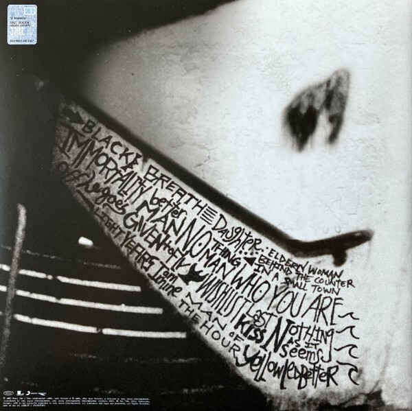 Pearl Jam - Rearviewmirror. Greatest Hits 1991-2003. (Vol.2) (2LP)