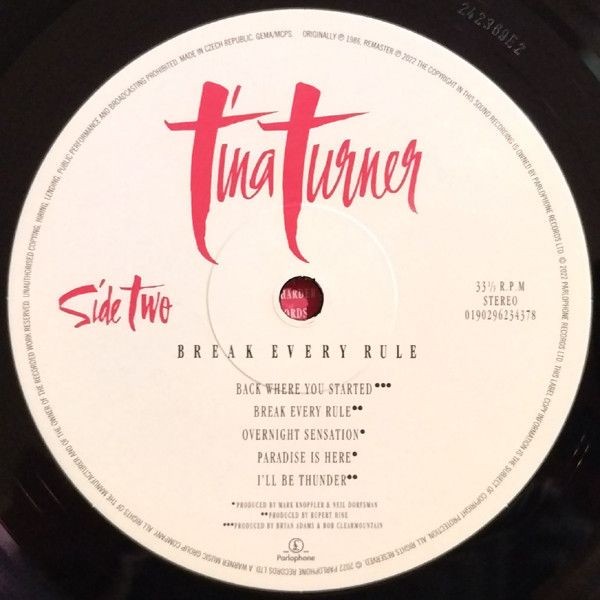 Tina Turner - Break Every Rule (LP)