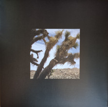 Виниловая пластинка MOBY - RESOUND NYC (Color) (2LP)