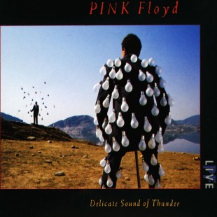 Pink Floyd - Delicate Sound Of Thunder (2CD)