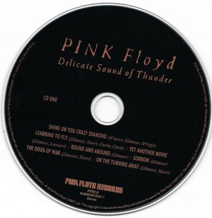 Pink Floyd - Delicate Sound Of Thunder (2CD)