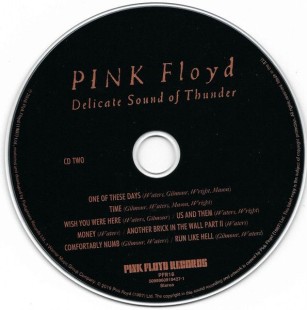 Pink Floyd - Delicate Sound Of Thunder (2CD)