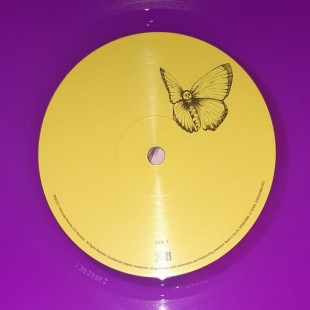 Maroon 5 - Jordi (color)(LP)