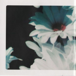 Lana Del Rey - Lust For Life (CD)