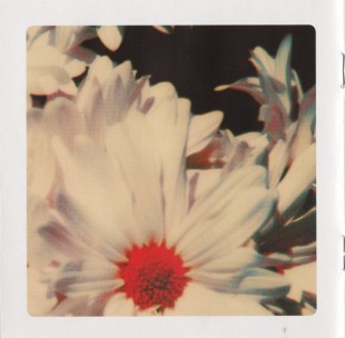 Lana Del Rey - Lust For Life (CD)