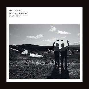 Pink Floyd - The Later Years (2LP)