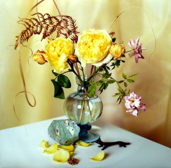 Florence + The Machine - High As Hope (LP)