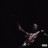 Виниловая пластинка Travis Scott - Utopia (2LP)