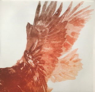 Snow Patrol - Fallen Empires (2LP)