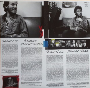 Bruce Springsteen - Best Of (2LP)