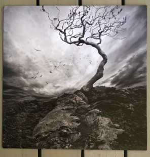 Lisa Gerrard & Jules Maxwell - Burn  (color) (LP)