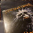 Уценка! Виниловая пластинка Six Feet Under – Haunted (LP)